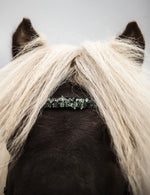 Ára Curve  Aurora Fluorit